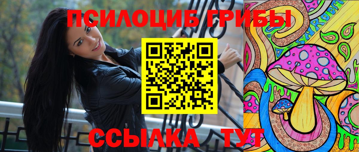 Галлюциногенные грибы Psilocybe  Вход с VPN  Пугачёв 