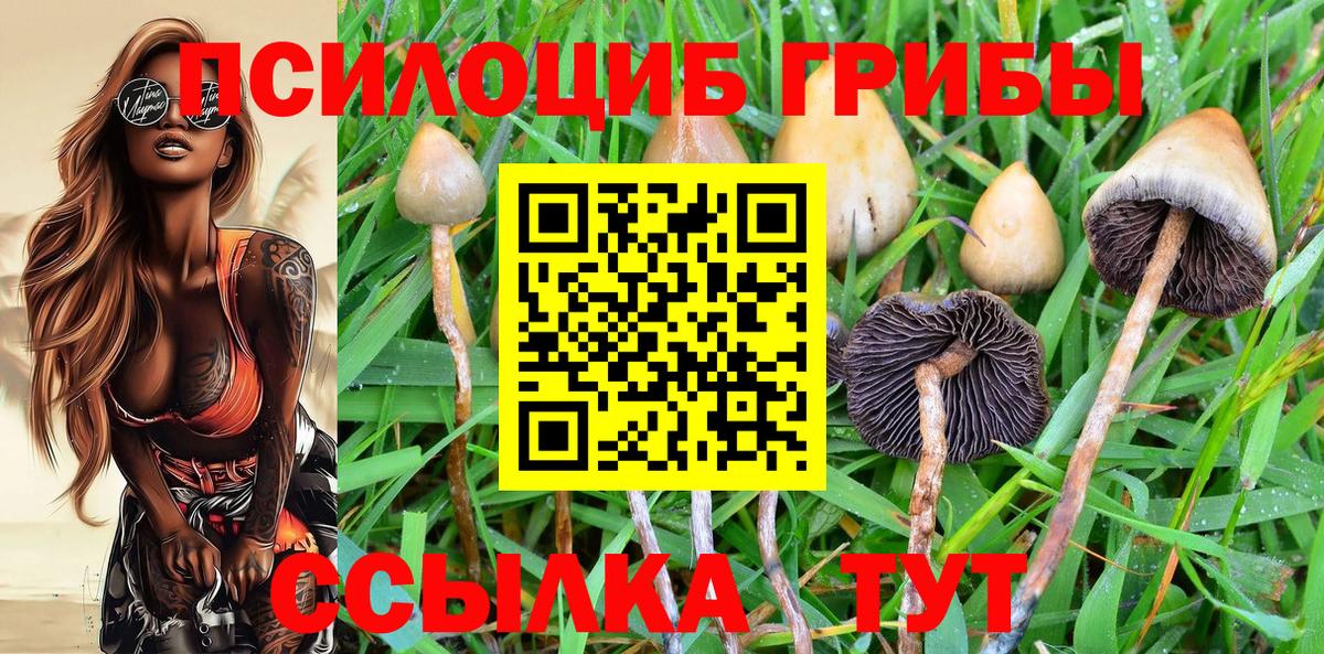 Псилоцибиновые грибы GOLDEN TEACHER Пугачёв